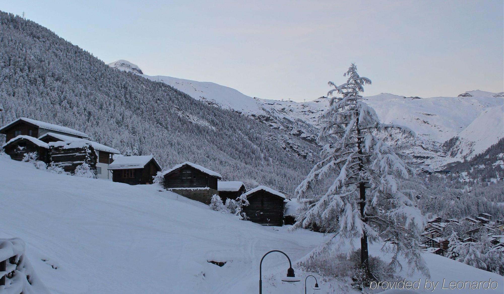 Alpenlodge Zermatt Eksteriør billede